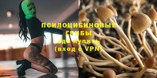 соль ск Балабаново