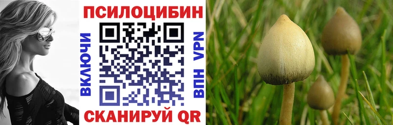 MEGA tor Зеленоградск Псилоцибиновые грибы прущие грибы купить наркотик